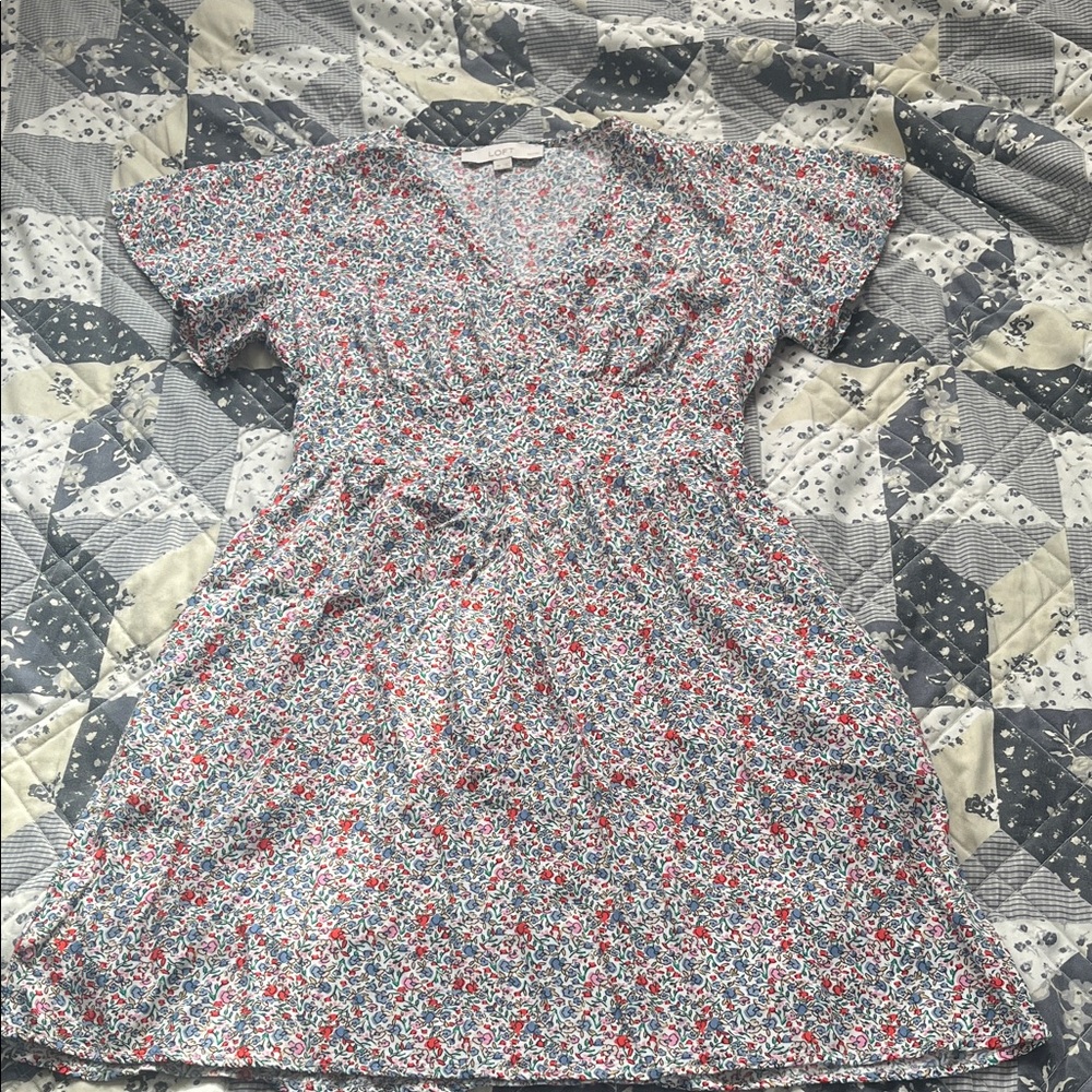 Floral V-Neck Mini Dress in Red & Blue
